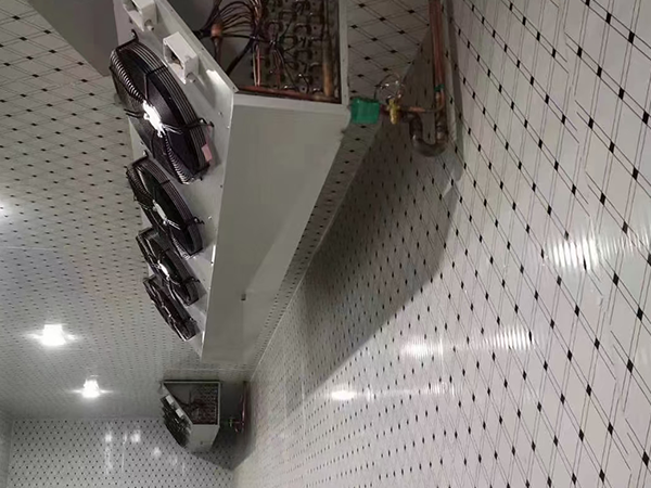肉品冷凍庫